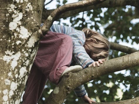 Movement Kids — Mädchen klettert in einem Baum, Kindertraining von Natural Athletics in Brig